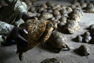 4���й����ڽ�Ͳ�Τ�к�Ұ���ڹ� �������