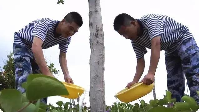 南沙，繁花已开遍，只等国人来