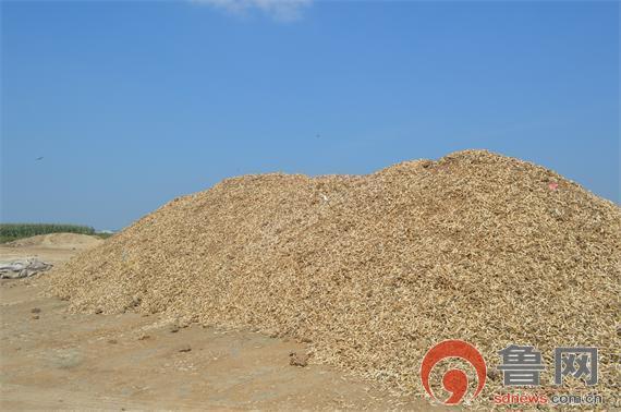 山东现晒骨场 山东现晒骨场