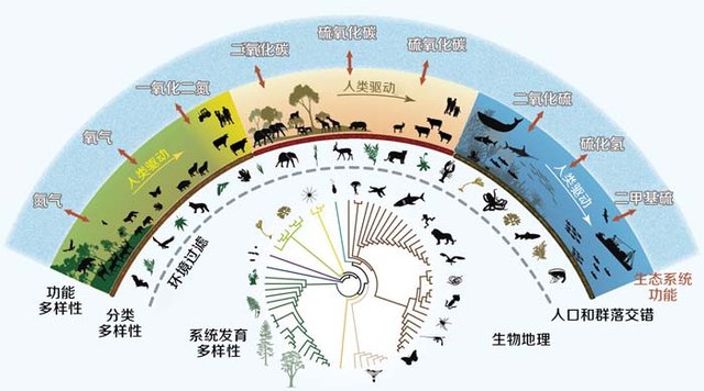 incheon人口_Incheon4686 12 of 14 1人认为这是最喜欢的相片之一