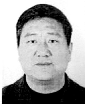 ϱˤӤҳǮ 쵼