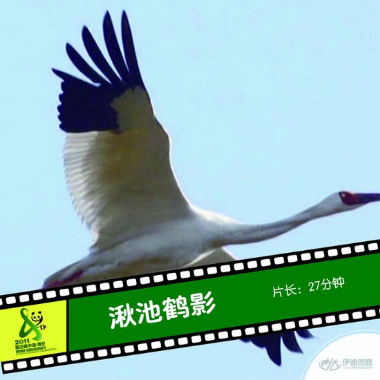 2011雅安电影节国内参展影片《湫池鹤影》_新