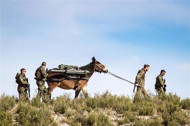 为完全自行化和机械化的炮兵不适应山地作战,德国陆军又想到了骡马化