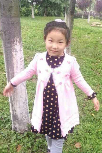 扬州父亲悬赏20万寻幼女 多人称被一男子带走