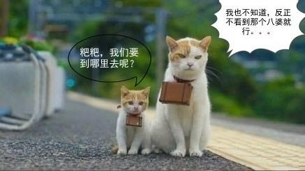 呵呵，看世界也是需要钞票的