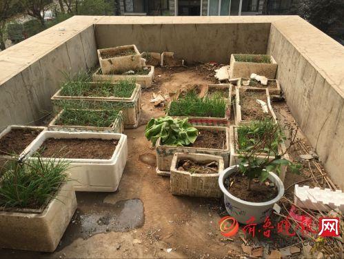 济南穿校服小女孩坠楼：家属称可能是有人推下去的(图)