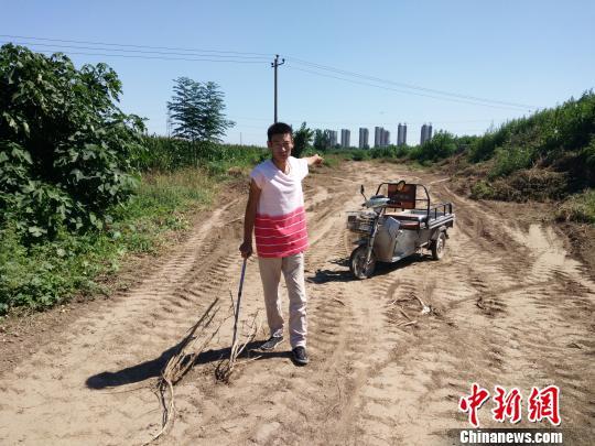 石家庄高新区百亩耕地遭强占 村民被打残后弃荒野