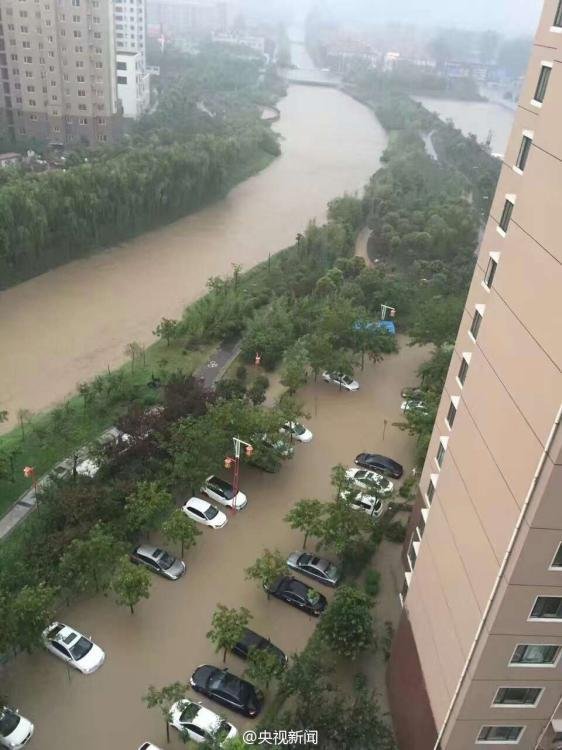 河南新乡遭特大暴雨袭击 女记者雨中凌乱(高清图)