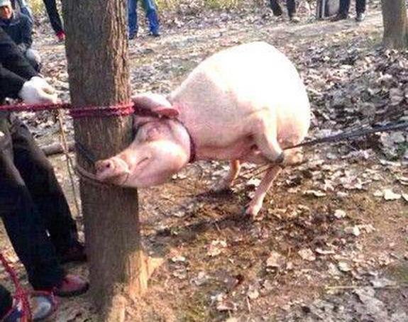 回音壁:福建公务员委屈晒工资 你敢么?