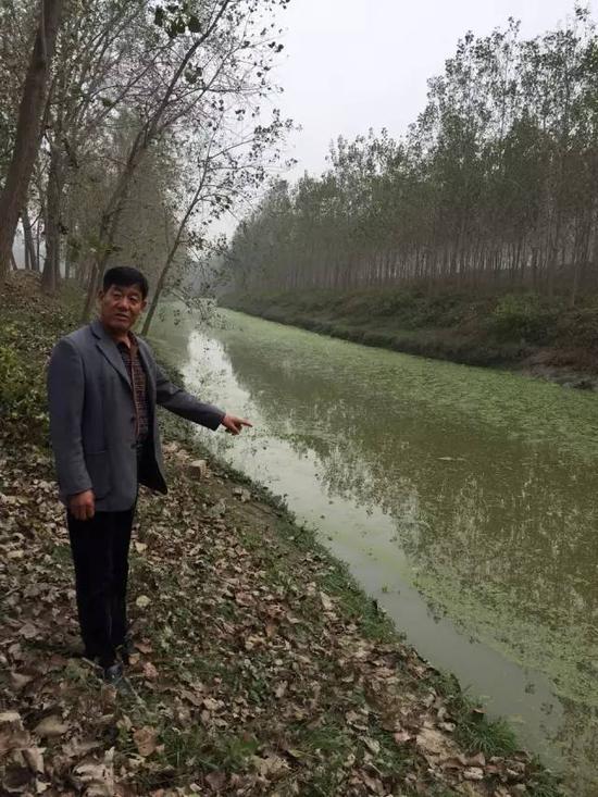 2015年10月22日，苏皖交界的宿州市杨庄乡，跨界河流郎溪河布满了蓝藻和浮萍，远远就能闻到河水的腥臭味。 新华社记者蔡敏 摄