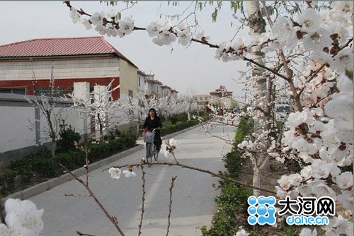 河南西辛庄答村级市质疑:没公务员及行政机构