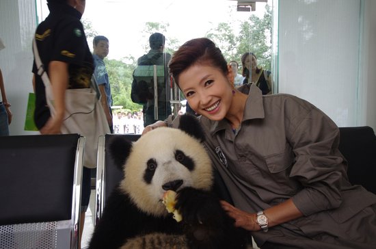 第四届动物与自然电影周名人明星认养大熊猫