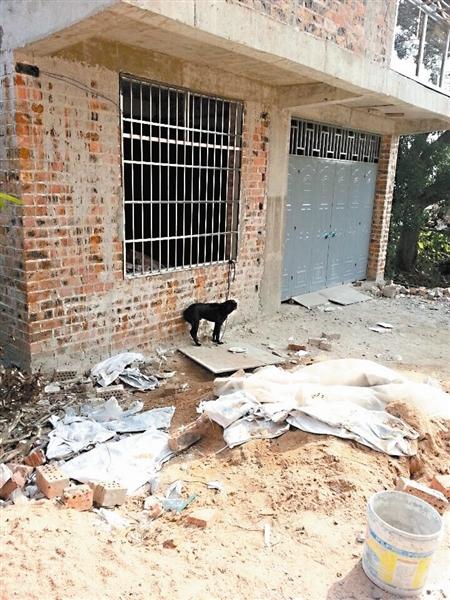 65岁独居老人在家猝死 尸体遭家中2条狗啃食