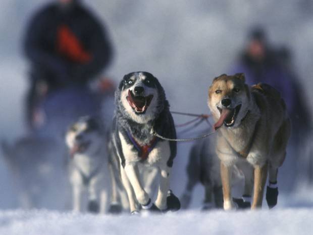 组图:揭秘地球十大最冷地方 最冷地零下93.2℃
