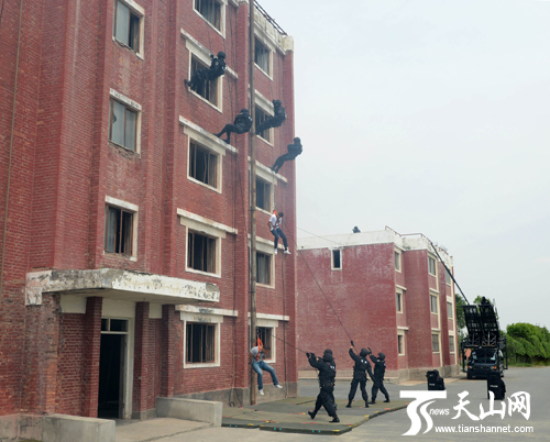 张春贤考察反恐部队:攥紧铁拳严打恐怖势力