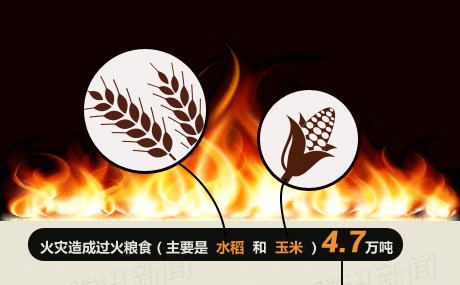 In store grain denies loss of grain depot of be on fire to pass 100 million say in all more than yuan 300