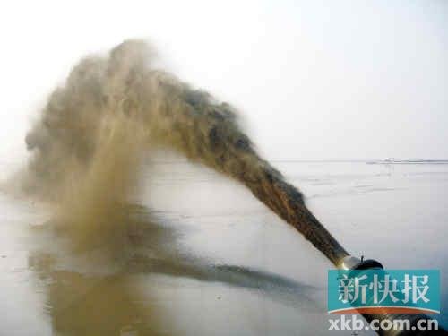 中国沿海填海造地致滩涂湿地锐减 加剧近海污染