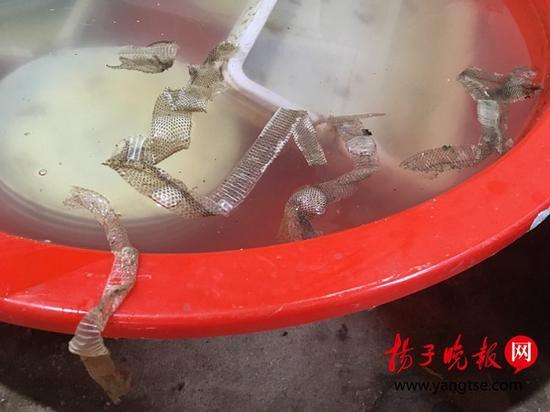 幸运农场中奖明细 - 醴陵日报