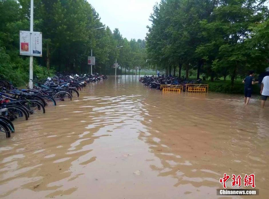 河南新乡遭特大暴雨袭击 女记者雨中凌乱(高清图)