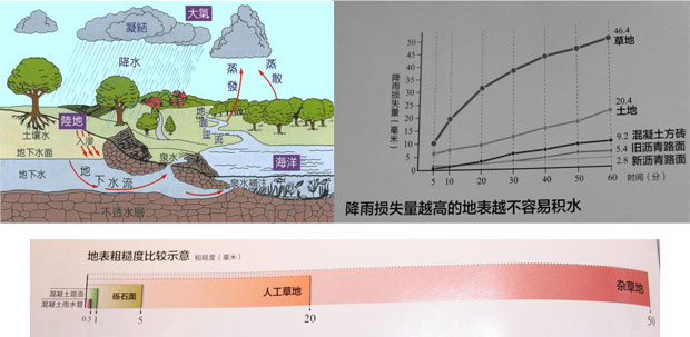 21,变排为留:德国雨洪利用转向