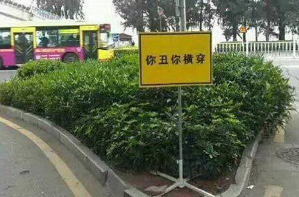 厦大教授建议修改 你丑你横穿 标语:你美走天桥