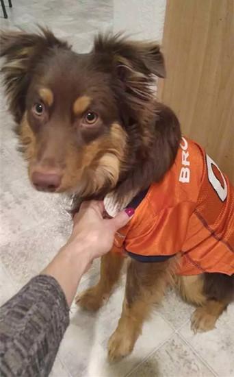 英国男子为求婚设计寻宝游戏_新闻_腾讯网