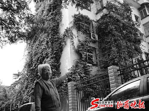 这株葡萄树顺楼爬了五层高 居民推开窗伸手就