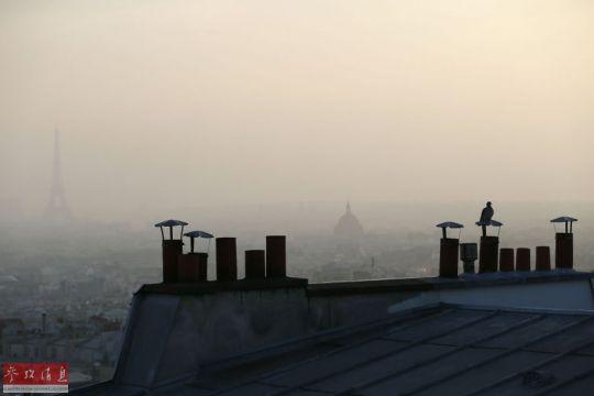英报：巴黎担心雾霾吓走中国游客