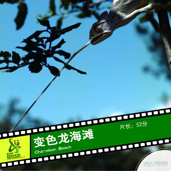 2011雅安电影节国际参展影片《变色龙海滩》