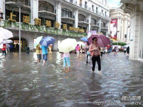 来魔都看海吧