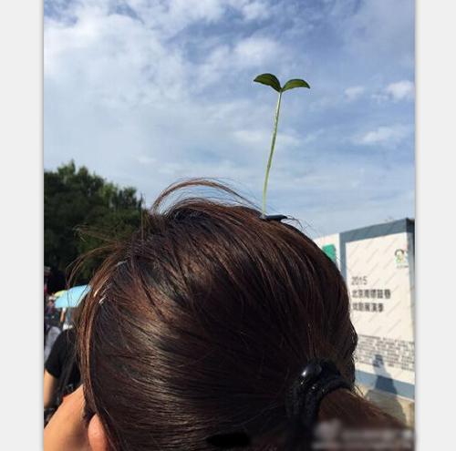 有本事去找前女友算账啊！