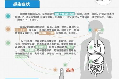 图解普通感冒、流感与禽流感之异同(组图)