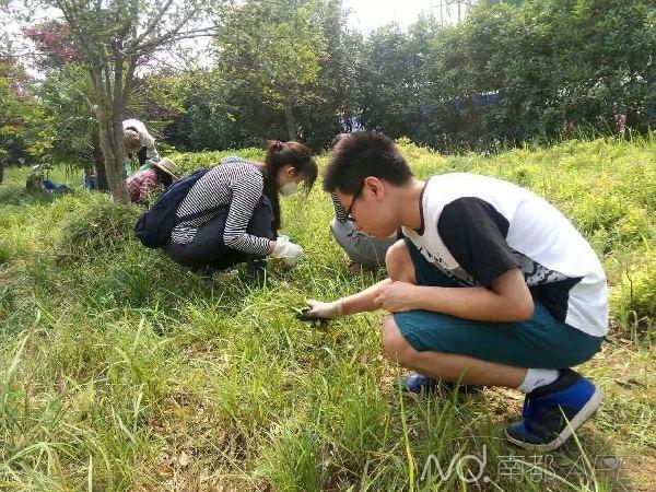 大学无法毕业的奇葩理由：拔草1周 不干没毕业证