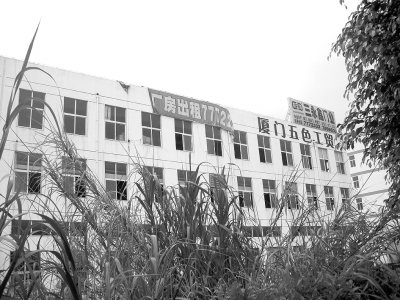 福建工厂不忙生产忙租房 订单萎缩租厂房止亏