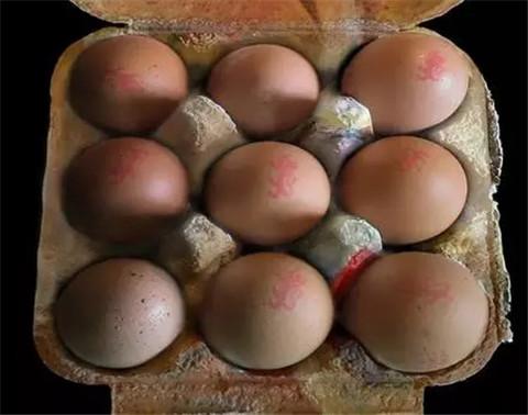 鸡蛋盒子你扔进垃圾箱的 他把它们放进美术馆_新闻_腾讯网