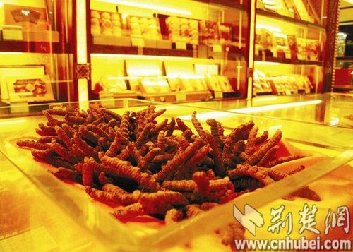 女童吃燕窝雪蛤性早熟 高档滋补品进补陷误区