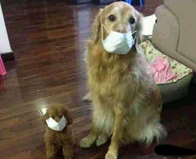 除了开房,过节还能干什么?