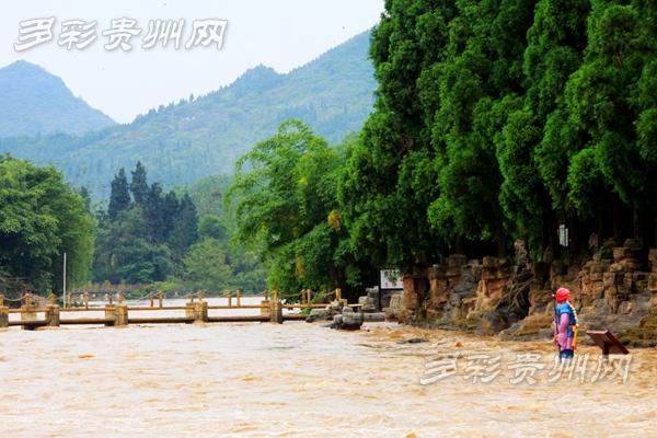 黄果树瀑布群迎今年以来最大水量 多个景点关闭