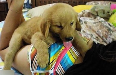 拿玩具枪也敢去打劫