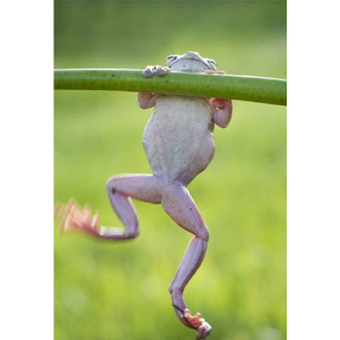 Ӵƻѳ˿ɲйɣװҲվӰ