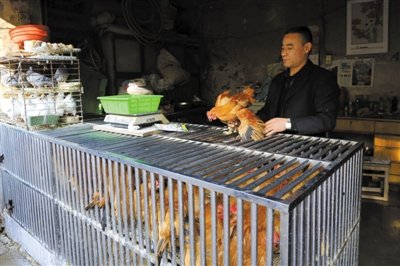 南京安徽H7N9患者均曾接触活鸡 为治病花光积蓄