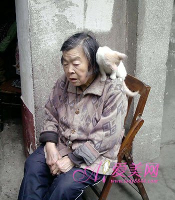 专家剖析 好婆媳关系需要三方努力_新闻_腾讯