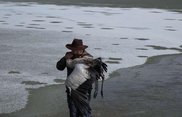 两男子从-18℃冰窟中救回黑颈鹤 用体温捂热