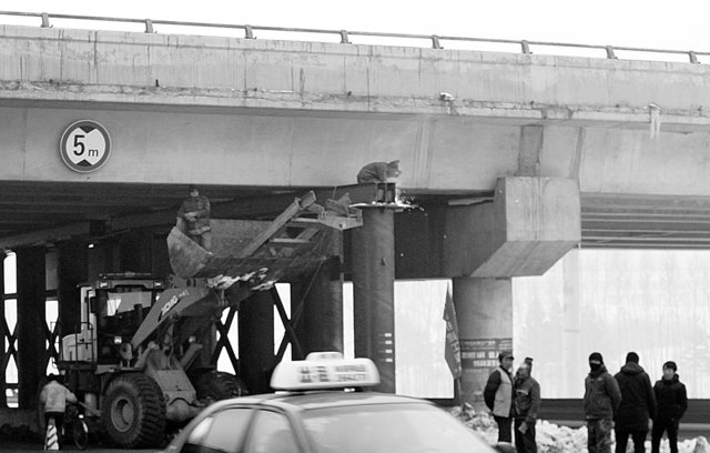 黑龙江一高速因采煤致塌陷 煤矿称将继续开采