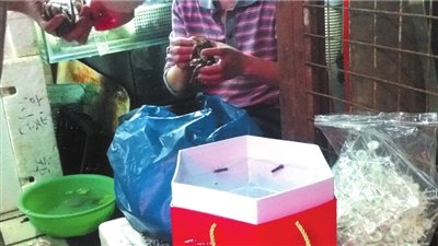 记者暗访揭普通蟹“套牌”变身阳澄湖大闸蟹