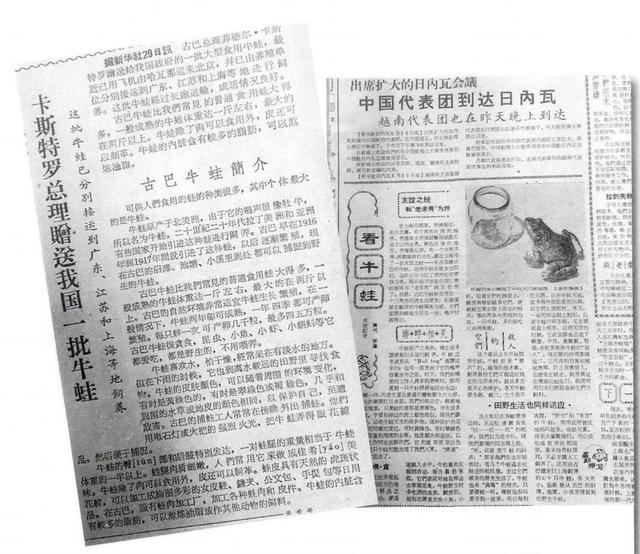 卡斯特罗将牛蛙当国礼赠送中国，惠及中国亿万“吃货”