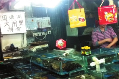 记者暗访揭普通蟹“套牌”变身阳澄湖大闸蟹