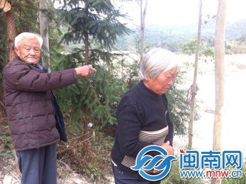 漳州长泰县坂里乡丹岩村两位老人养的价值20万鱼被村民哄抢一空