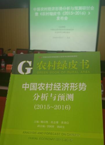 华西村人均收入_美国农村人均收入(3)