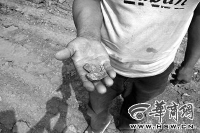 村民挖出25个银元称是祖先遗物 文管所收走23个